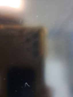 41931_48805.jpg