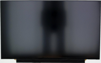 Матрица LQ140M1JW49, 14.0", 1920x1080, 40pin,144Hz