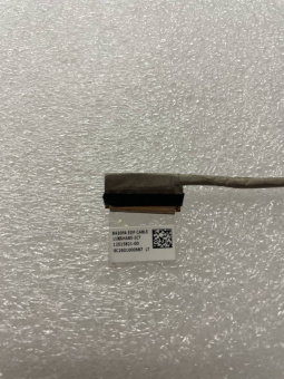23955_20210.jpg