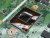 Материнская плата ASUS X541NA донор процессора Pentium N4200 (040028)